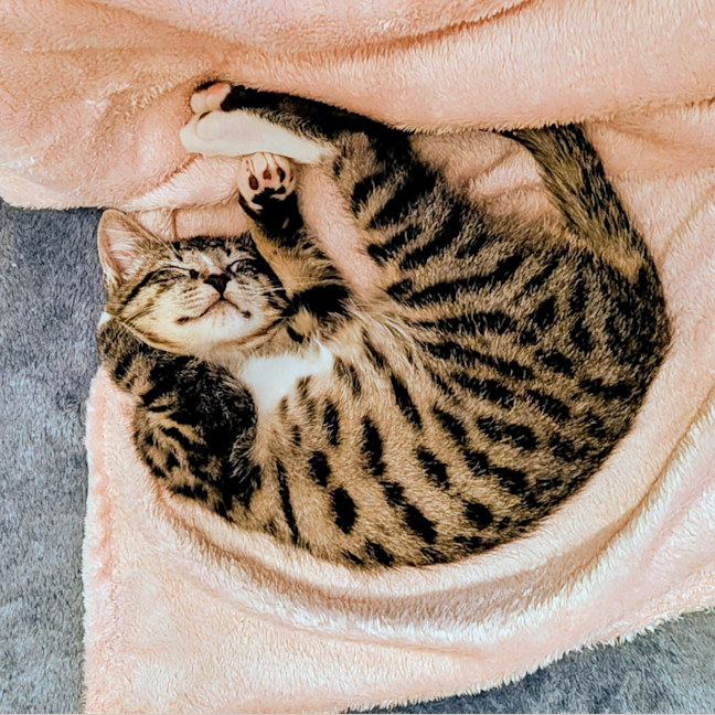 Photo of Timmy