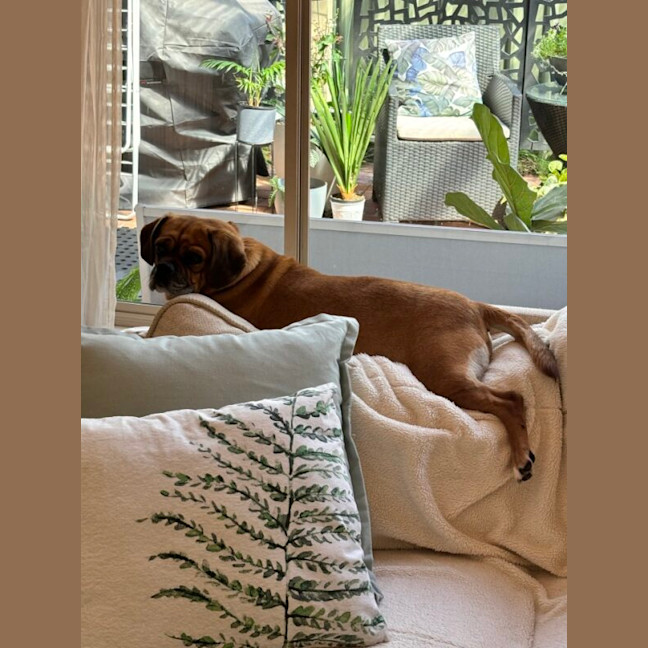 Photo of Bentley