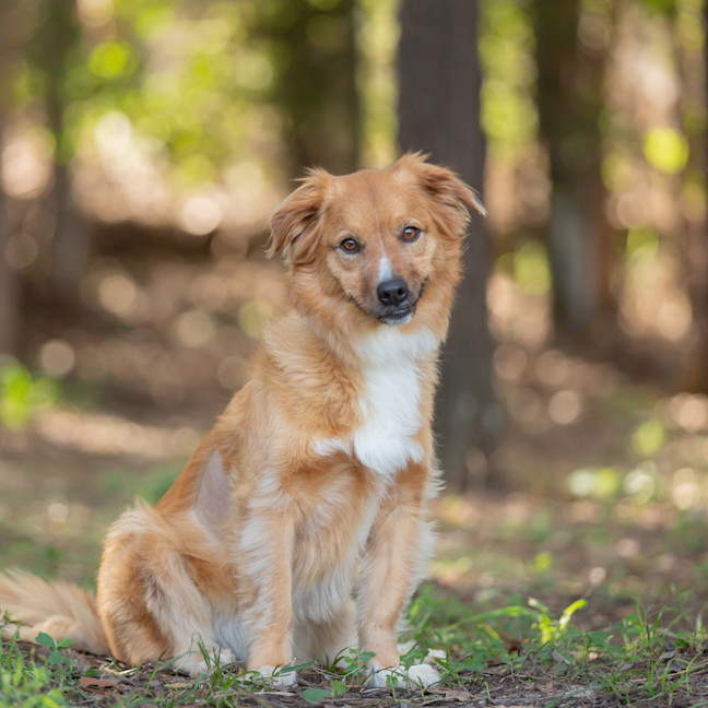 Photo of Buttons
