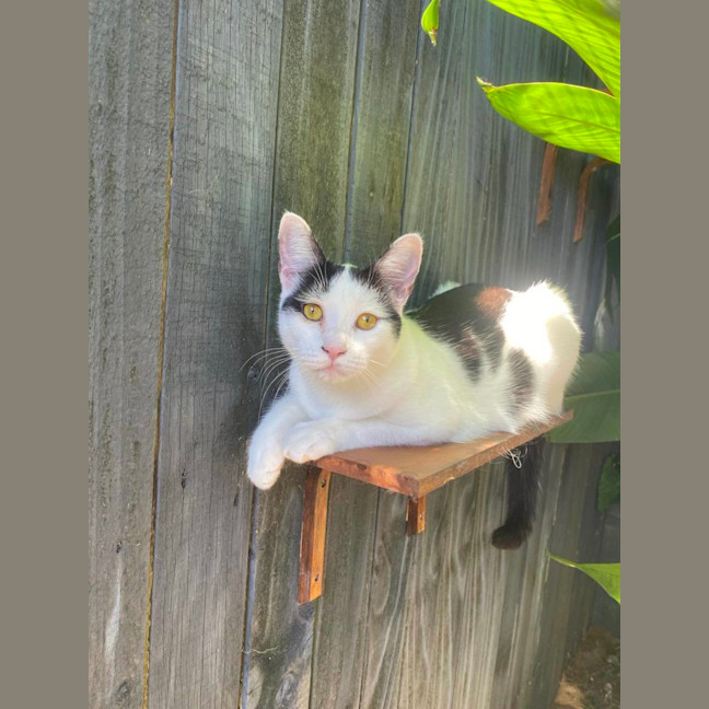 Photo of Bonnie