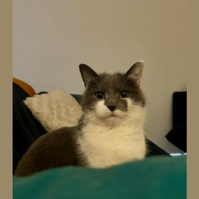 Photo of Sassy Smokey Calls The Shots