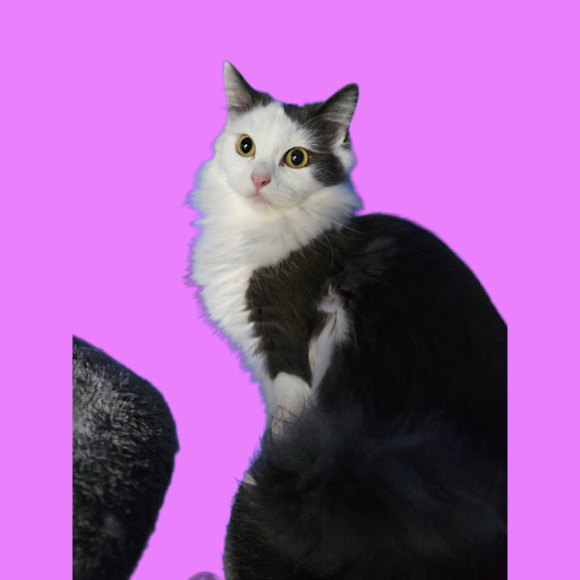 Photo of Cloud