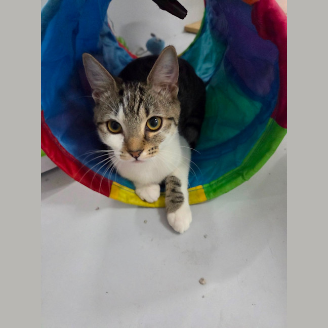 Photo of Martha   Loves Children