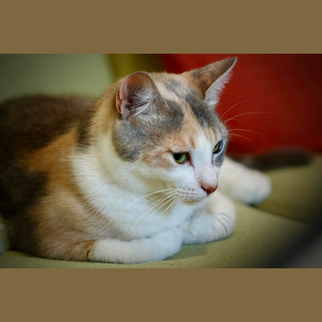 Photo of Wilma 