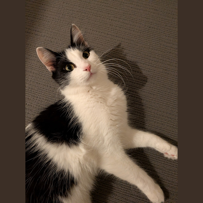 Photo of Noah