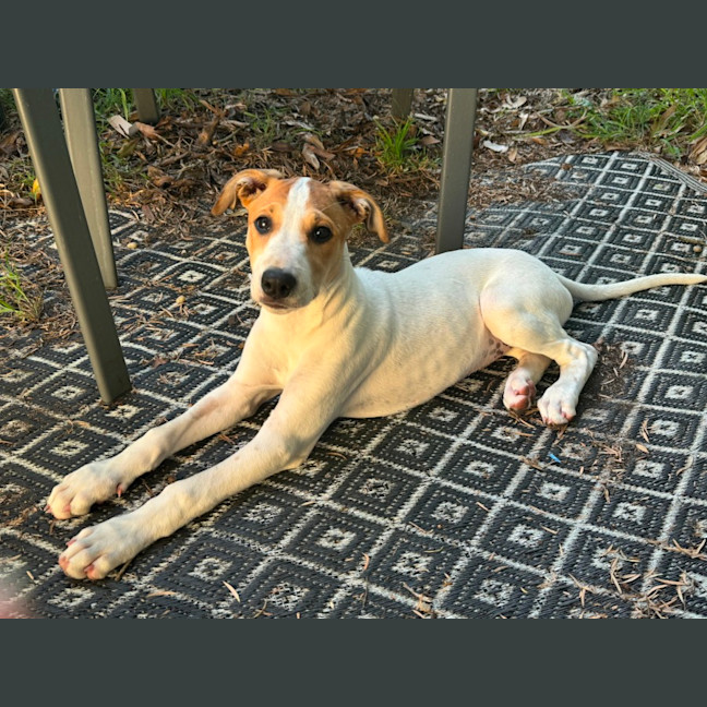 Photo of Quinnie
