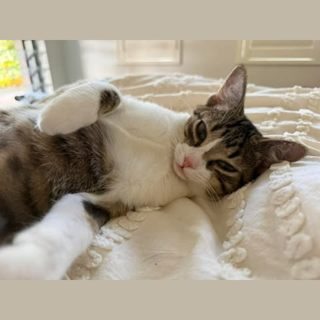Photo of Cleo