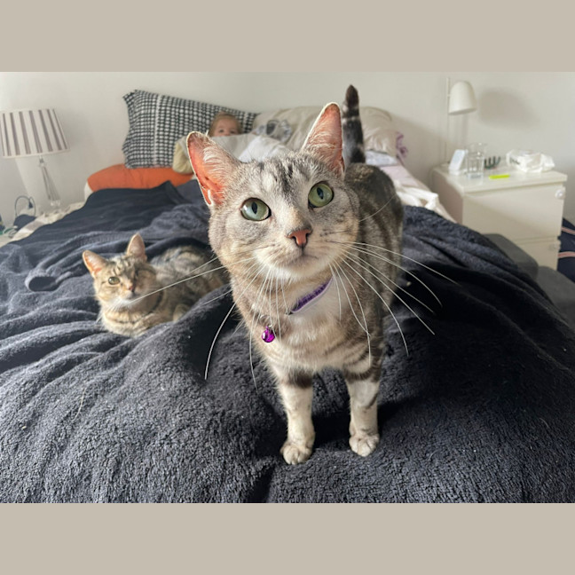 Photo of Pepper