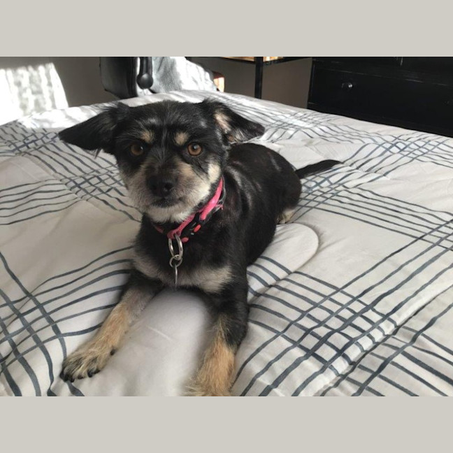 Photo of Jedda O'cleary