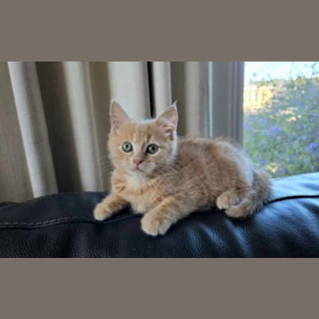 Photo of Yuki