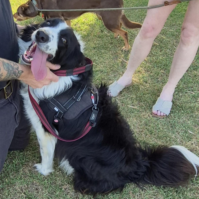 Photo of Jax