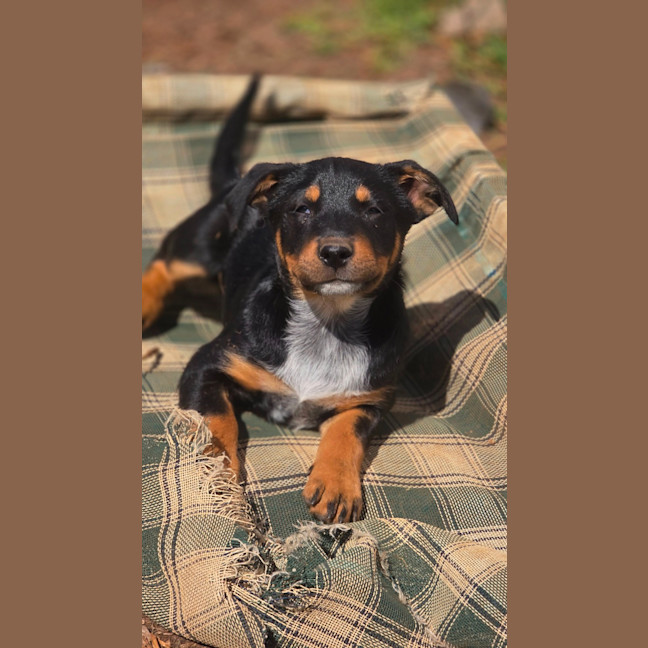 Photo of Lenny