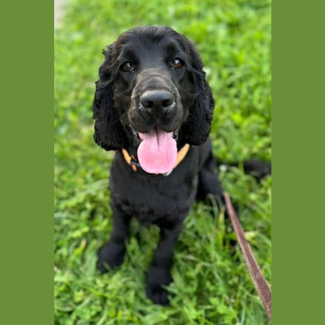 Photo of Miko 
