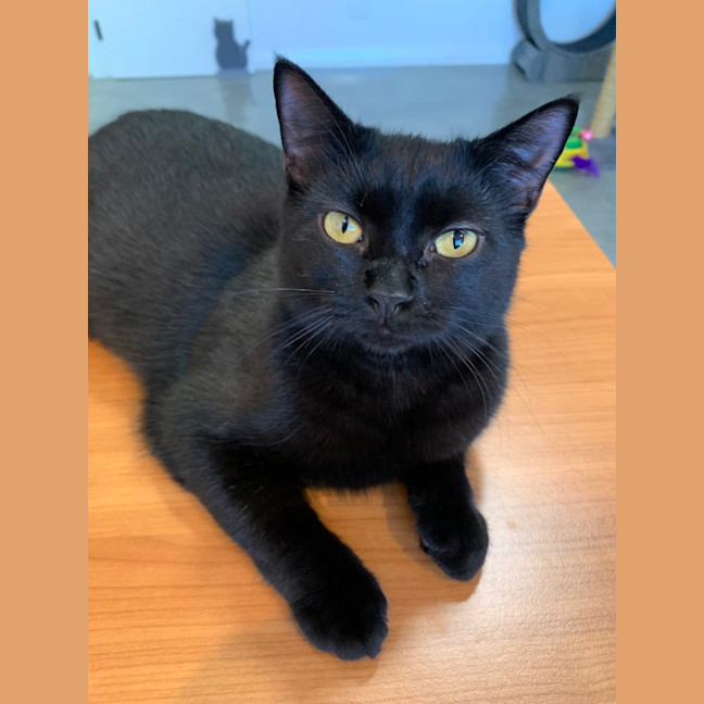 Photo of Rosie