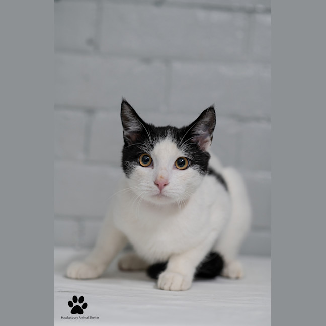 Photo of Max