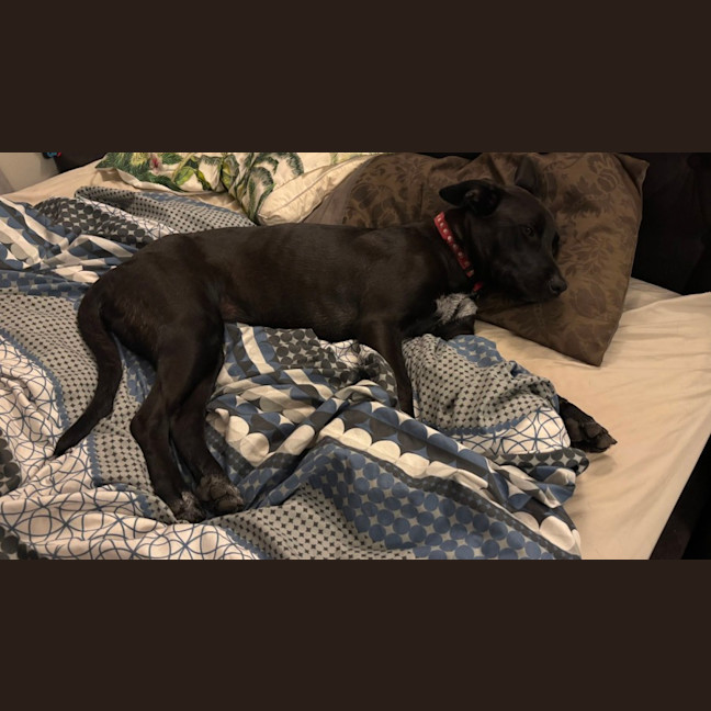Photo of Mia