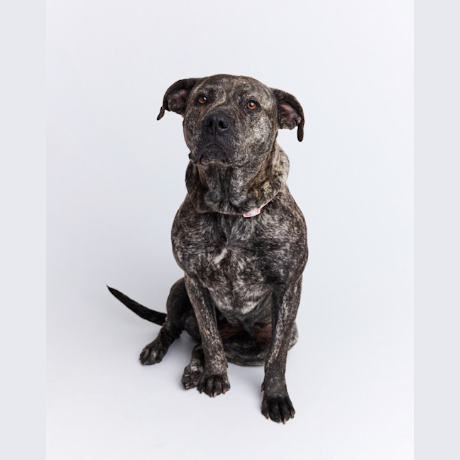 Photo of Milly