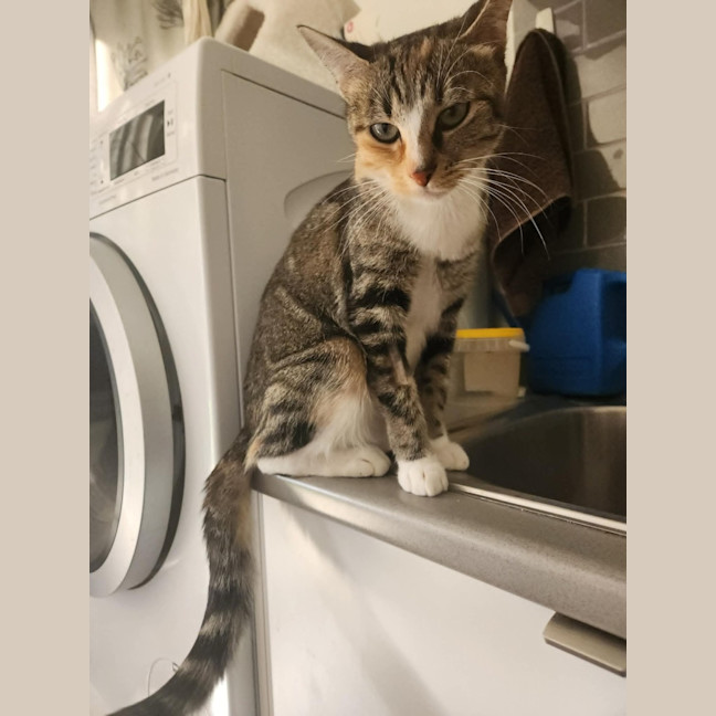Photo of Enid