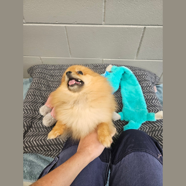 Photo of Evie