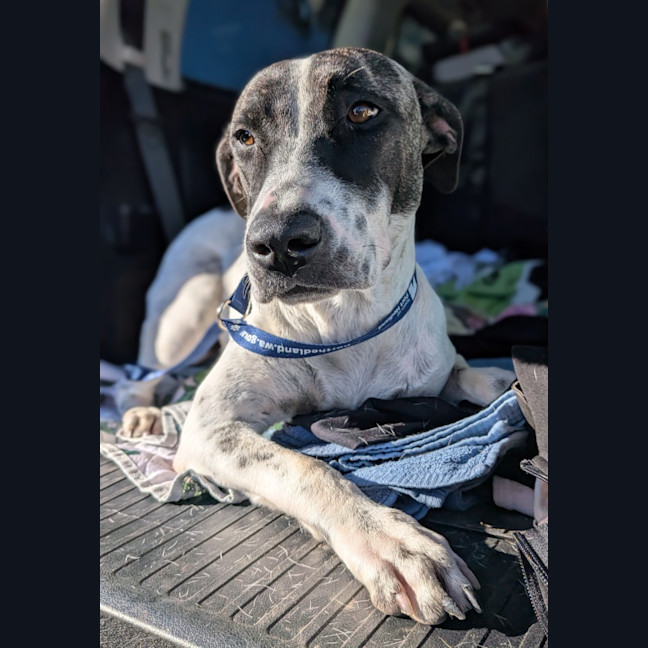 Photo of Dorothy