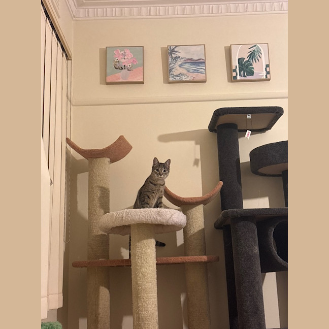 Photo of Nancy