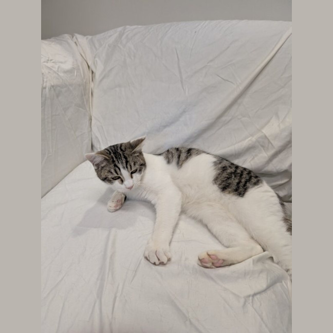 Photo of Ernie