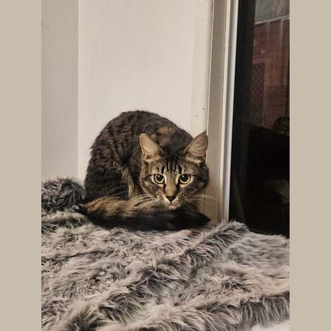 Photo of Mia
