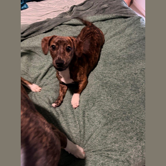 Photo of Willow Cervantes