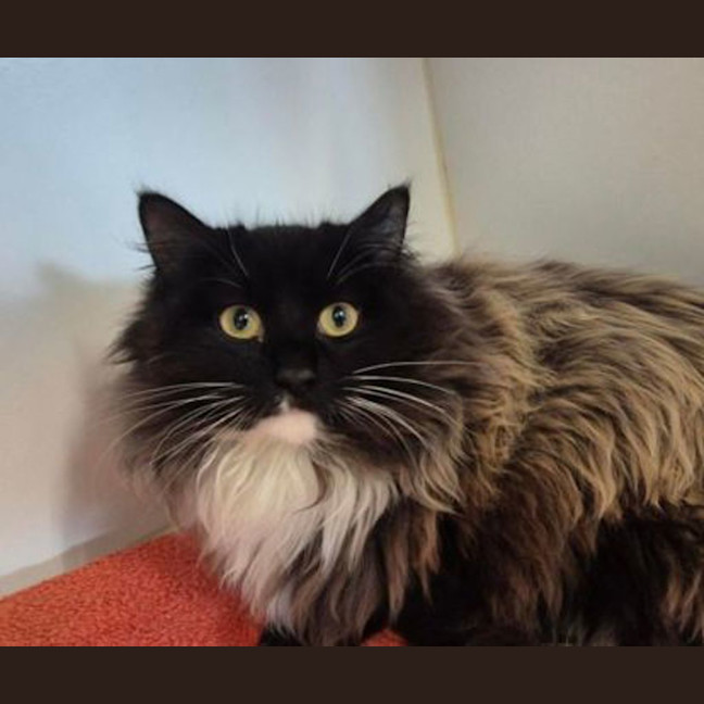 Photo of Bootsie