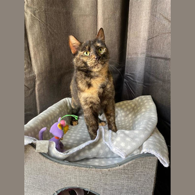 Photo of Tilly