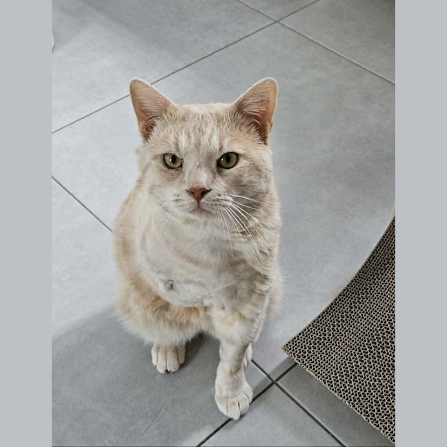 Photo of Thor