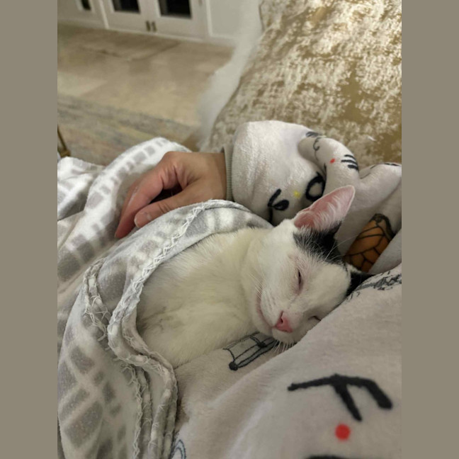 Photo of Lillie 🌷🌷🌷