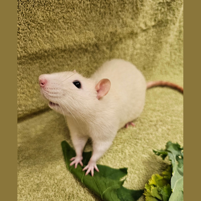 Photo of George