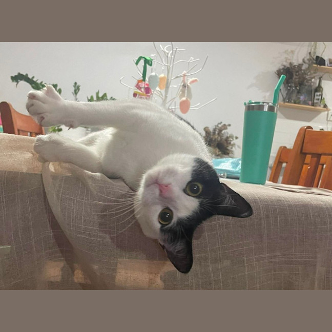 Photo of Oopsies
