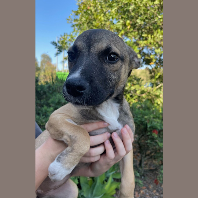 Photo of Freya