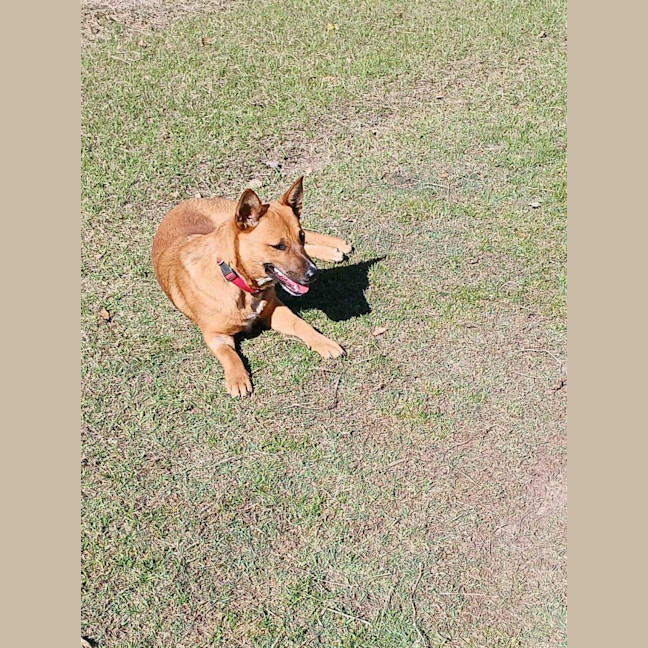 Photo of Red 