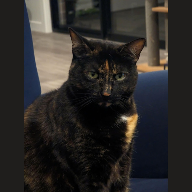 Photo of Freya