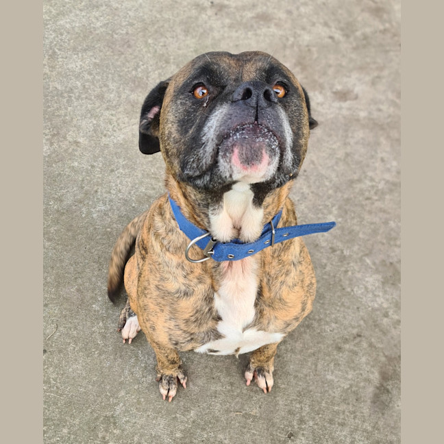 Photo of Cash