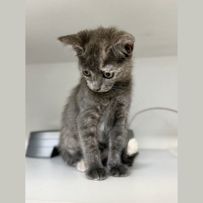 Photo of Gigi