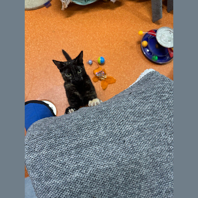 Photo of Dottie