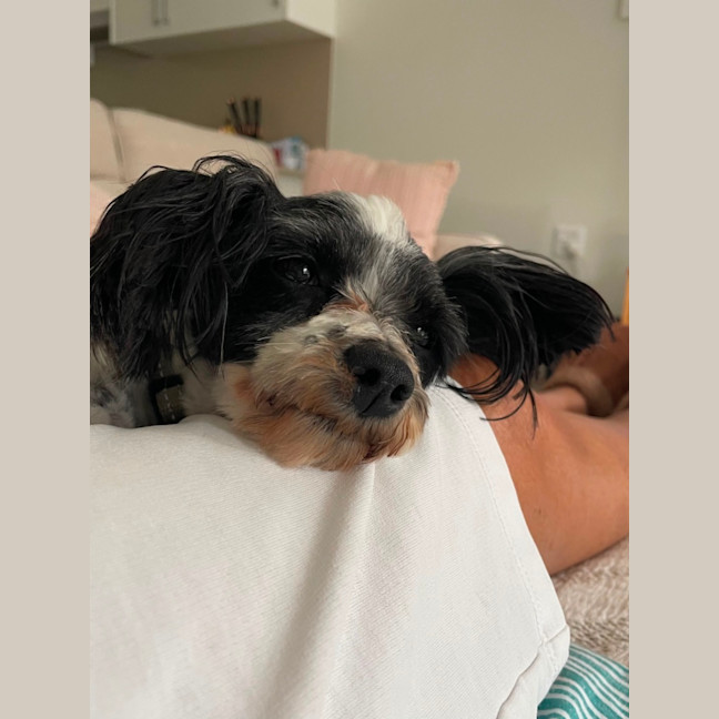 Photo of Lovely Penelope
