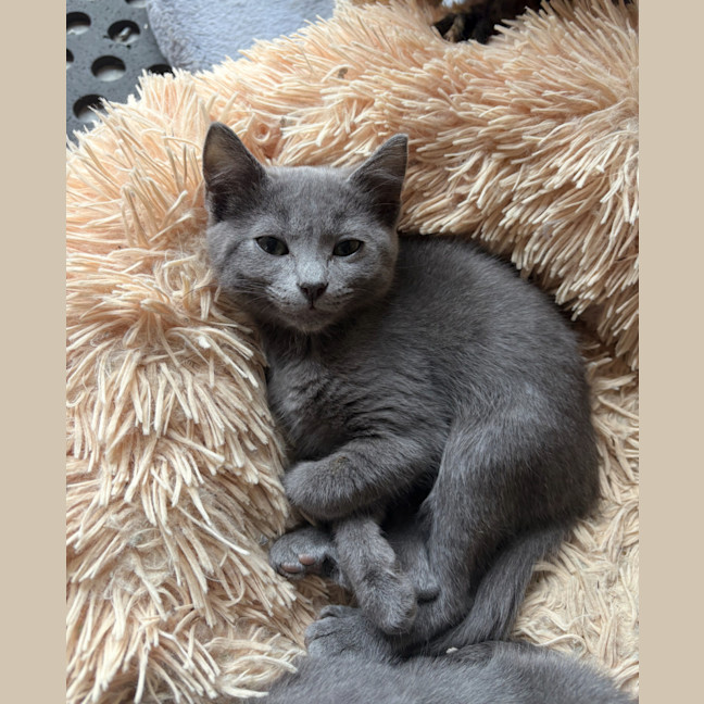 Photo of Ruby ♥️♥️♥️♥️♥️