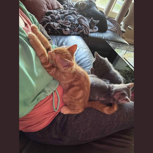 Photo of Charlie   Located In Preston