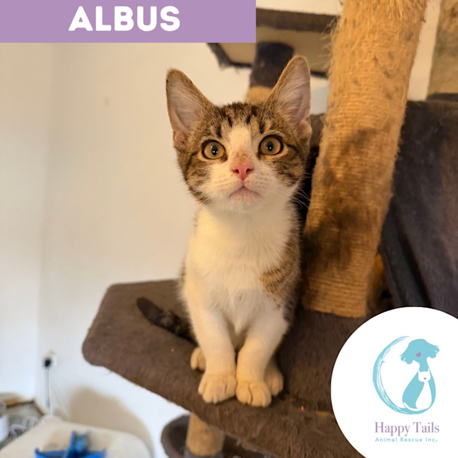 Photo of Albus