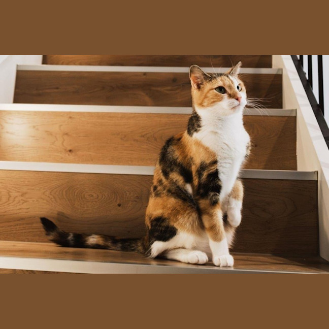 Photo of Genevieve Illingworth