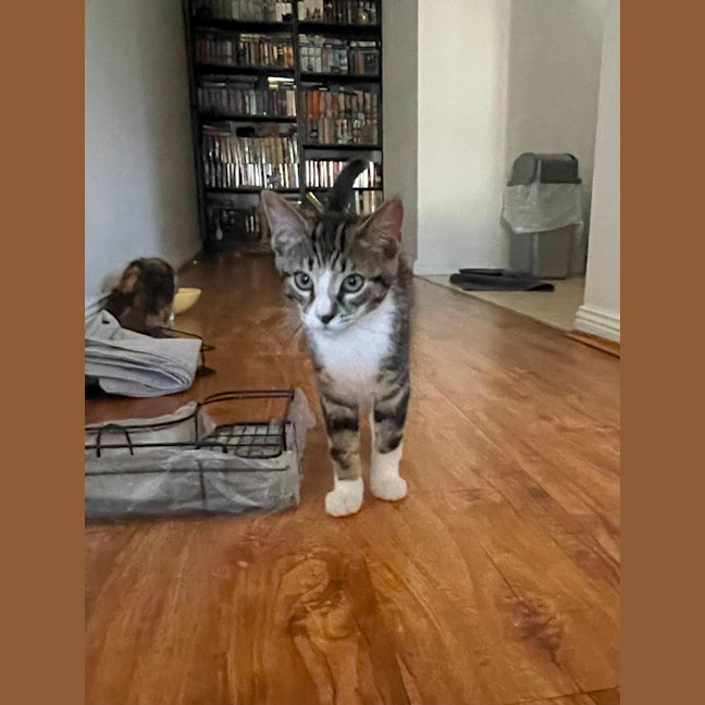 Photo of Leo
