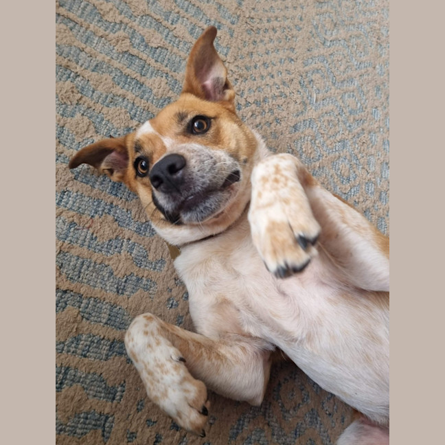 Photo of Sally Brown