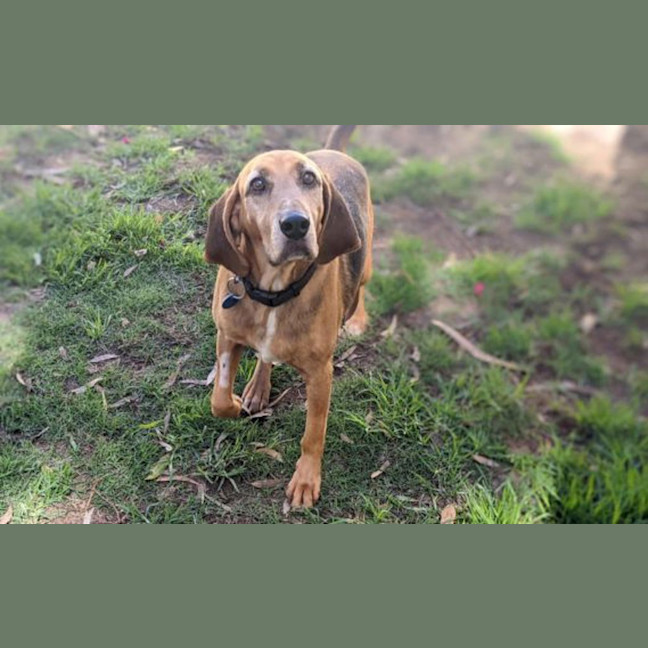 Photo of Gus