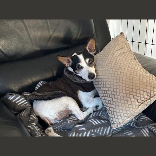 Photo of Ruby And Vincent Silvanus