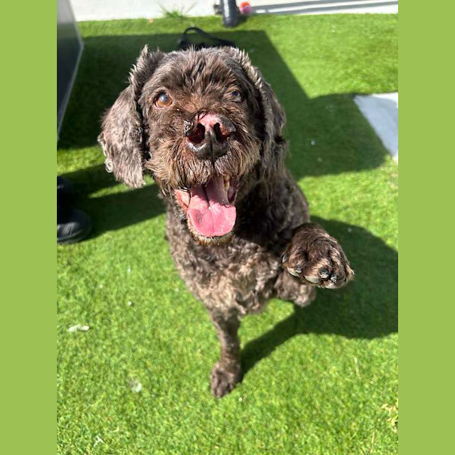 Photo of Bently